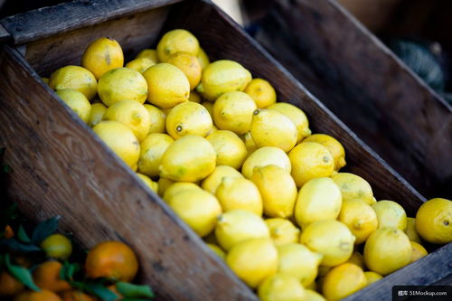 柠檬 水果 新鲜 生产 黄色 食品 美食摄影图片