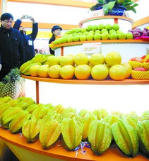 两岸农产品展示会在郑州举办 台湾水果受追捧 图